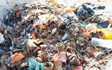 Узбекистанцы стали мусорить почти в два раза больше 