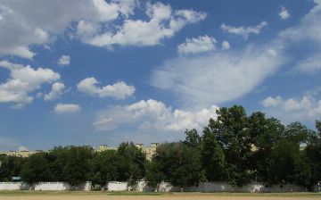 В Узбекистане прекратят использование озоноразрушающих веществ