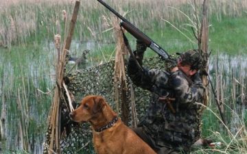 Подробности закона об охоте и охотничьем хозяйстве Узбекистана разъяснили