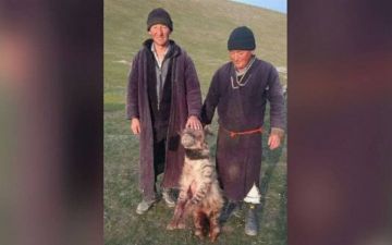 В Госкомэкологии прокомментировали убийство животного, занесенного в Красную книгу