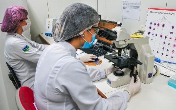 В России выявили первые случаи заражения двумя новыми штаммами коронавируса