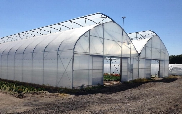 В Узбекистане создается проектный офис по развитию теплиц