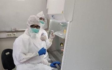 Опубликован список государственных лабораторий, в которых можно сдать тест на COVID-19