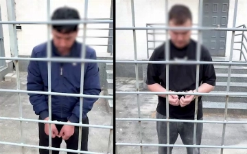 В Ташобласти арестовали мужчин, истязавших и убивших кошек