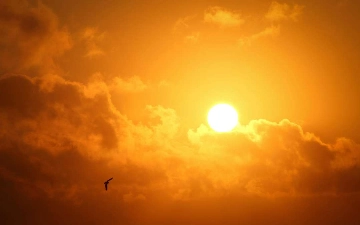 Жители Ташкента столкнутся с опасным уровнем ультрафиолетового излучения