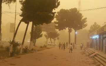 В Сурхандарье и Сырдарье создадут «зеленые стены» для предотвращения пыльных бурь