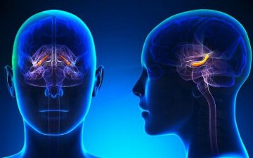 Исследование: одно из средств от запоров улучшает память