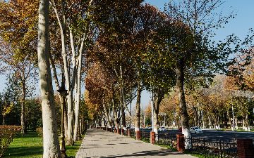 Узбекистанцам пообещали немного тепла