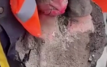 В Германии экоактивистки приклеили руки к асфальту