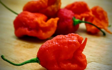 Канадский ютубер Майк Джек побил рекорд Гиннесса по скорости поедания острых перцев