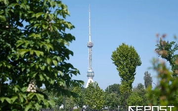 Какая погода ждет узбекистанцев в начале следующей недели