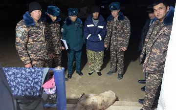 В Навои браконьер убил занесенного в «Красную книгу» джейрана 