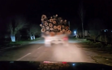 В Сурхандарье мужчина незаконно срубил четыре тополя