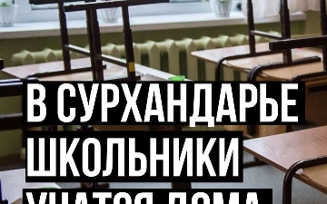 В Сурхандарье школьники учатся дома из-за закрытия школы