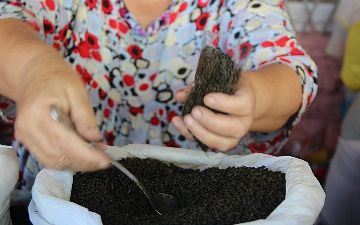 Узбекский онколог объяснил высокий уровень рака мозга и глотки употреблением насвая