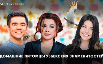 Какие домашние питомцы живут дома у узбекских звёзд