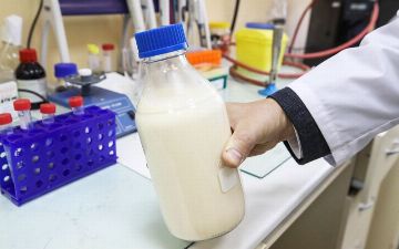 Ученые представили первую в мире съедобную вакцину от коронавируса — фото