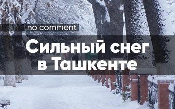 Последствия сильного снега в Ташкенте 