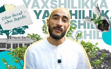 Тысячи лайков превратились в тысячи деревьев: как челлендж блогеров меняет города