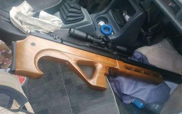 Сотрудник управления благоустройства отстреливал собак на глазах у несовершеннолетних и был наказан 