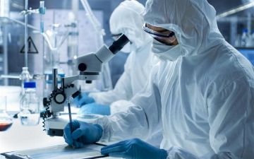 Коронавирус могли скрыть еще в 2013 году — как?