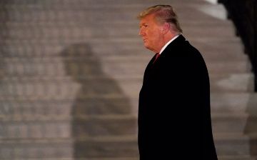 «Неужели это происходит с нашей страной?» - Дональд Трамп раскритиковал паспорта с гендером «Х»