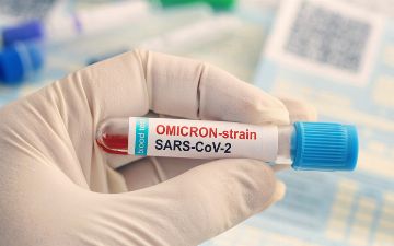 Люди, переболевшие коронавирусом три раза, защищены от омикрона