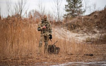 Украина готова провести с Россией переговоры о нейтральном статусе