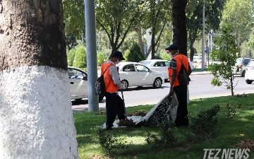 Умурзаков утвердил нового начальника Главного управления благоустройства Ташкента
