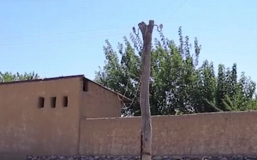 В Джизаке семилетняя девочка погибла от удара током 