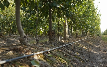 «Агробанк» ведет подготовку второго этапа образовательного проекта «Сувчилар мактаби» 