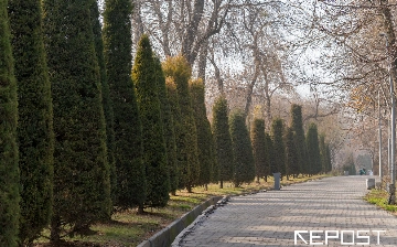Воздух в Ташкенте на 8 февраля: уровень загрязнения превысил норму в один раз