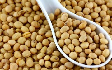 Узбекский нутрициолог назвала пять причин есть бобовые чаще