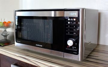 Узбекистанца и таджикистанку могут выдворить из России из-за микроволновки