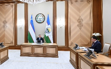 В Ташкенте и вокруг столицы ограничат строительство новых теплиц