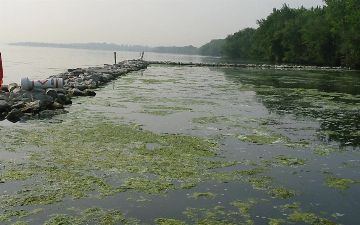 В реках по всему миру содержится четыре опасных препарата – исследование