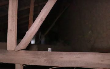 Жители Намангана были напуганы неизвестным «монстром»