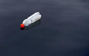 Планета настолько загрязнилась, что бактерии научились уничтожать мусор