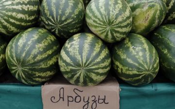 Как купить арбуз без нитратов?