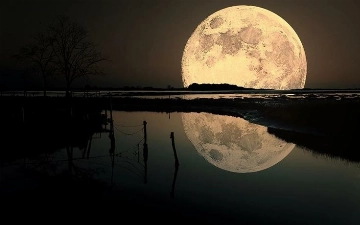 Объявлены сроки полета астронавтов к Луне