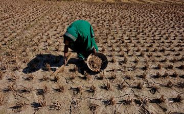 Всемирный банк выделит $30 млрд на борьбу с продовольственным кризисом