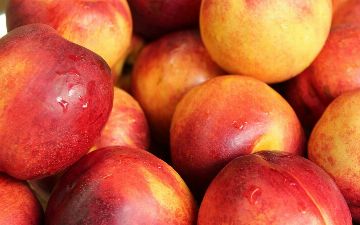 Узбекистанские нектарины не прошли проверку Россельхознадзора