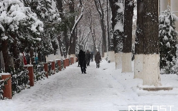 Население Узбекистана перевалило за 36 млн