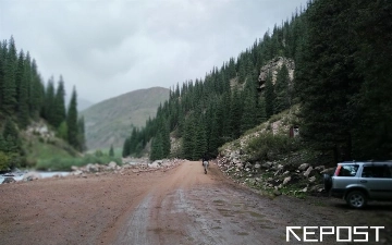 Синоптики рассказали, когда в Узбекистане спадет жара