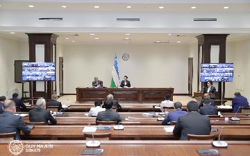 Сенаторами одобрено внесение изменений и дополнений в закон о государственном языке 