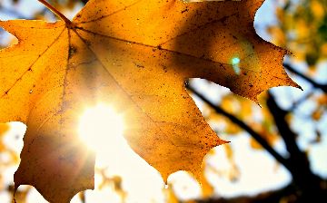Начало новой рабочей недели порадует узбекистанцев солнцем - прогноз погоды
