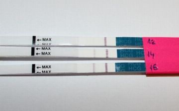 Как определить беременность на ранней стадии без теста 