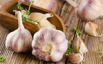 Кому противопоказано есть чеснок?
