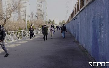 Возвращение к оффлайн обучению в вузах будет поэтапным