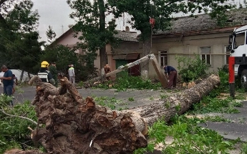 После сильного ветра: Ташкент возглавил список городов с самым грязным воздухом